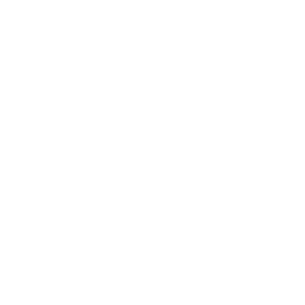 Professional Cybersecurity Services